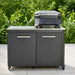 Cozze G-500 Stainless Steel Gas Grill 51 × 39cm