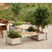 Sticks Bench with 2 Planters