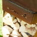 Barbecook Nestor Original Wood Corten Steel Plancha Grill