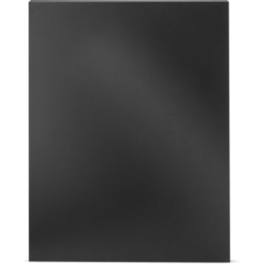 Napoleon OASIS® End Panel