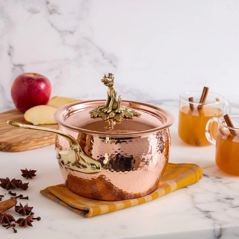 The Pluto Saucepan 16cm