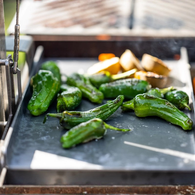 Somerset Grills Grande Stainless Steel Chapa