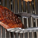 Broil King Baron™ Precision Tongs 40 cm