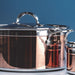 Hestan CopperBond Copper Stockpot with Lid