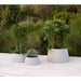 Cane-line Soil Trapezium Planter, Large