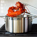 Hestan ProBond Stainless Steel Stockpot with Lid