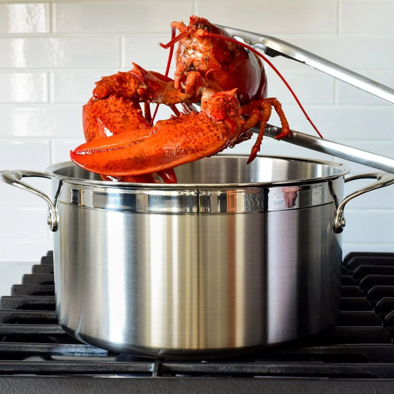Hestan ProBond Stainless Steel Stockpot with Lid