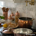 Ruffoni Opus Cupra Stockpot 24cm