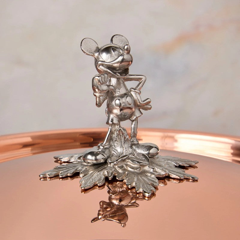 Mickey Mouse Stockpot 26cm