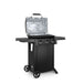 Broil King Gem™ 310 Shadow Barbecue