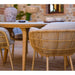 Cane-line Stay Stackable Chair