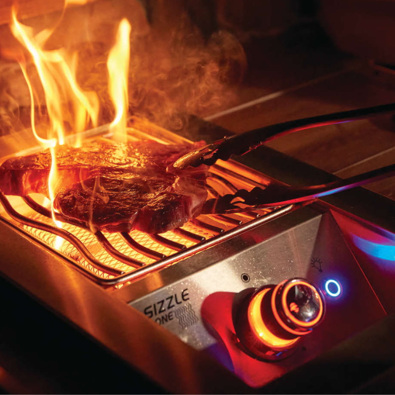 Napoleon Built-In 700 Series 32  with Infrared Rear Burner
